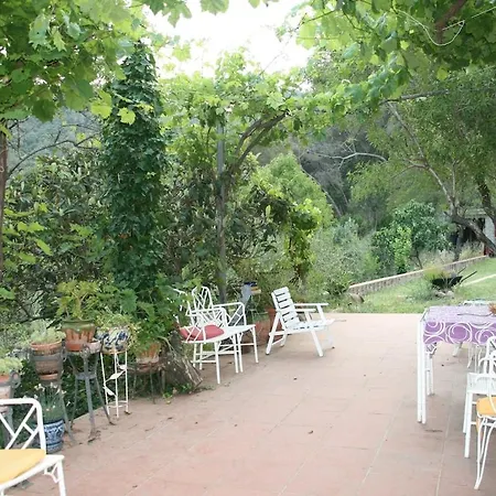 Farm stay Masia Sunyer *