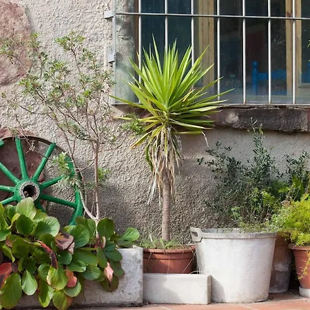 Masia Sunyer Farm stay La Garriga